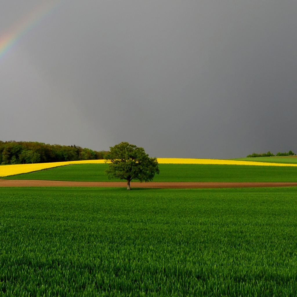 Green Fields and Rainbow for 1024 x 1024 iPad resolution