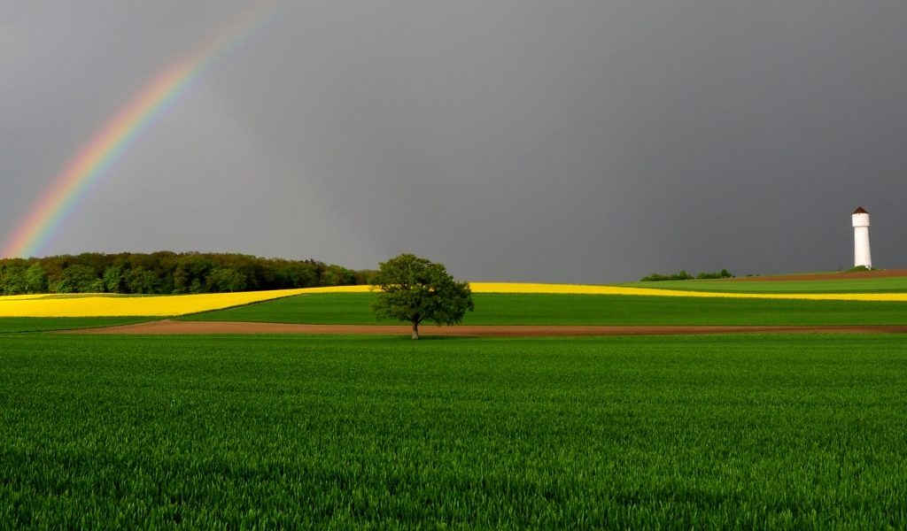 Green Fields and Rainbow for 1024 x 600 widescreen resolution