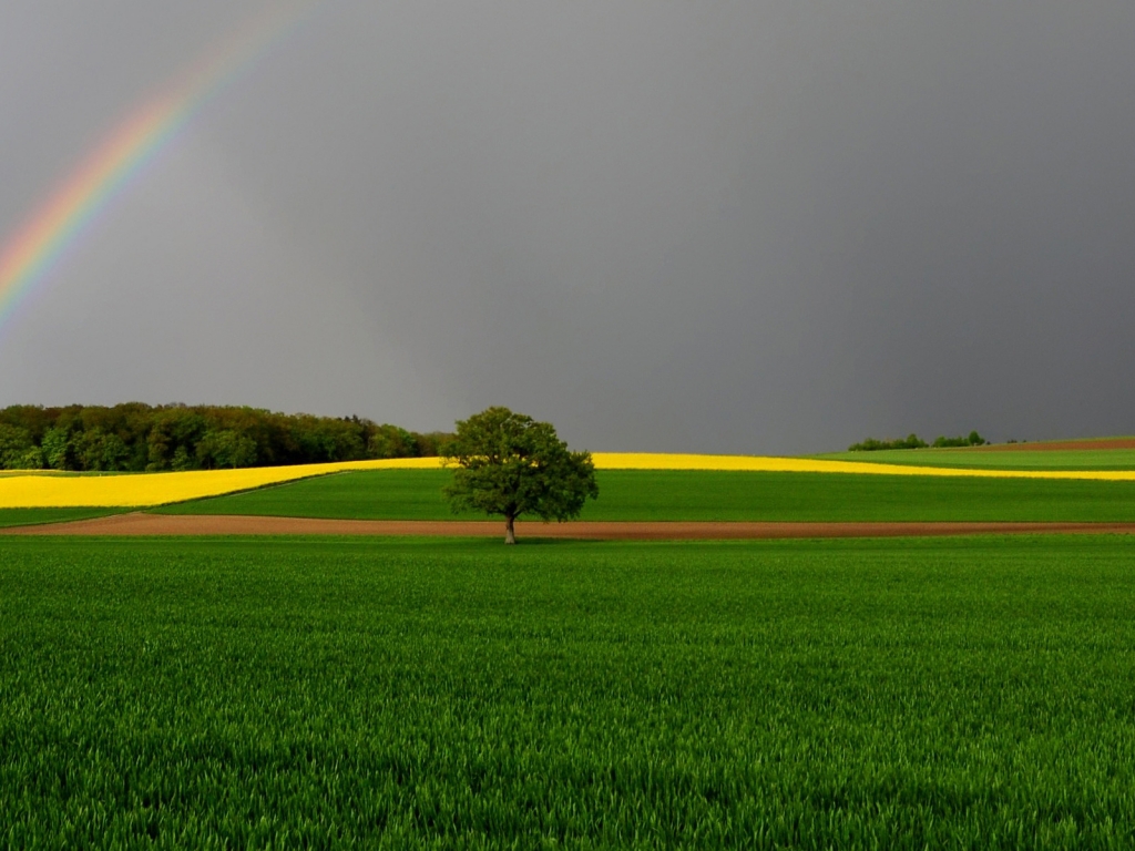 Green Fields and Rainbow for 1024 x 768 resolution