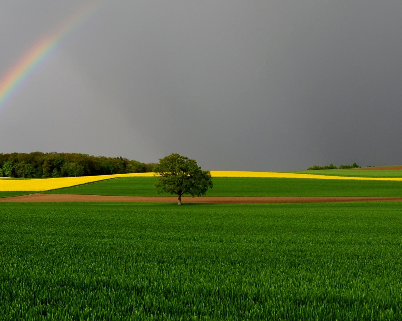Green Fields and Rainbow for 1280 x 1024 resolution