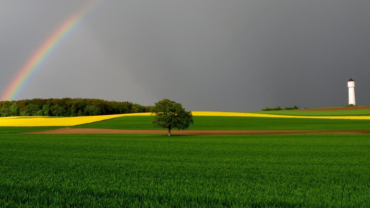 Green Fields and Rainbow for 1280 x 720 HDTV 720p resolution