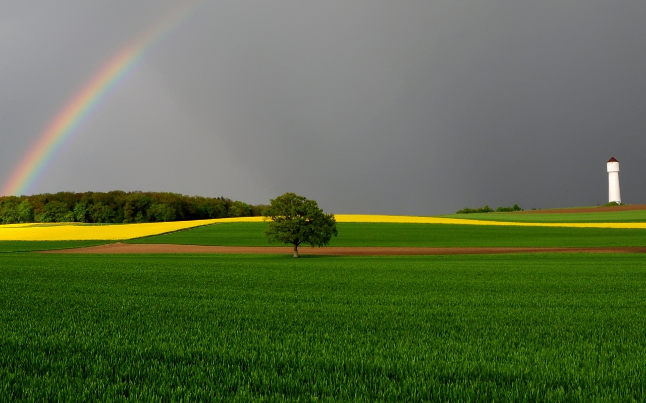 Green Fields and Rainbow for 1280 x 800 widescreen resolution
