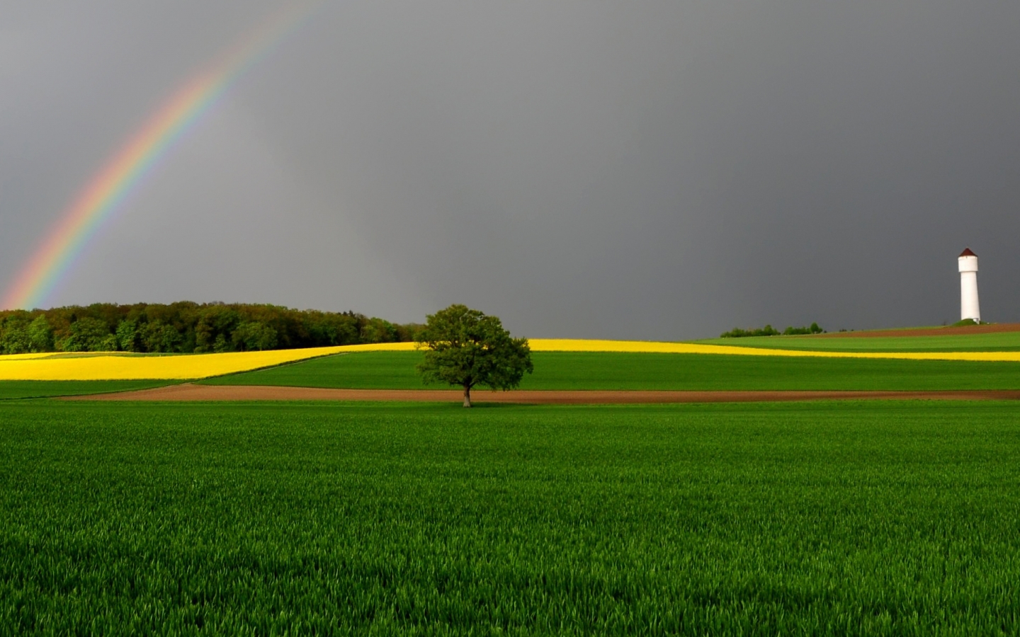 Green Fields and Rainbow for 1440 x 900 widescreen resolution
