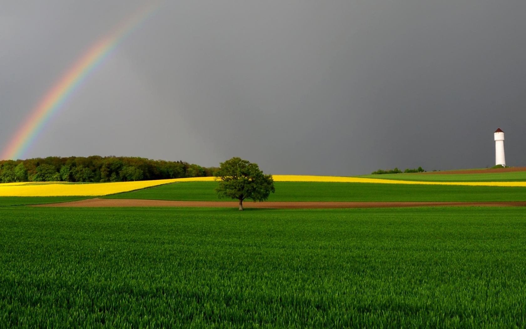 Green Fields and Rainbow for 1680 x 1050 widescreen resolution