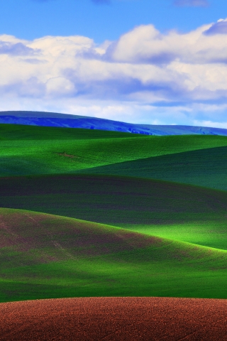 Green Grass Field for 320 x 480 iPhone resolution