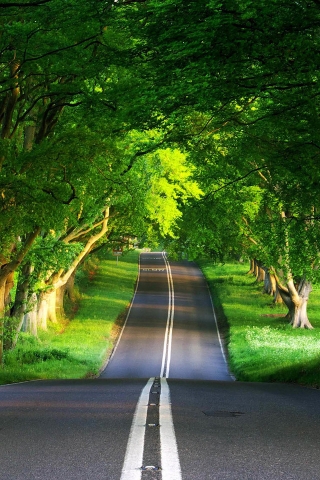 Green Road for 320 x 480 iPhone resolution