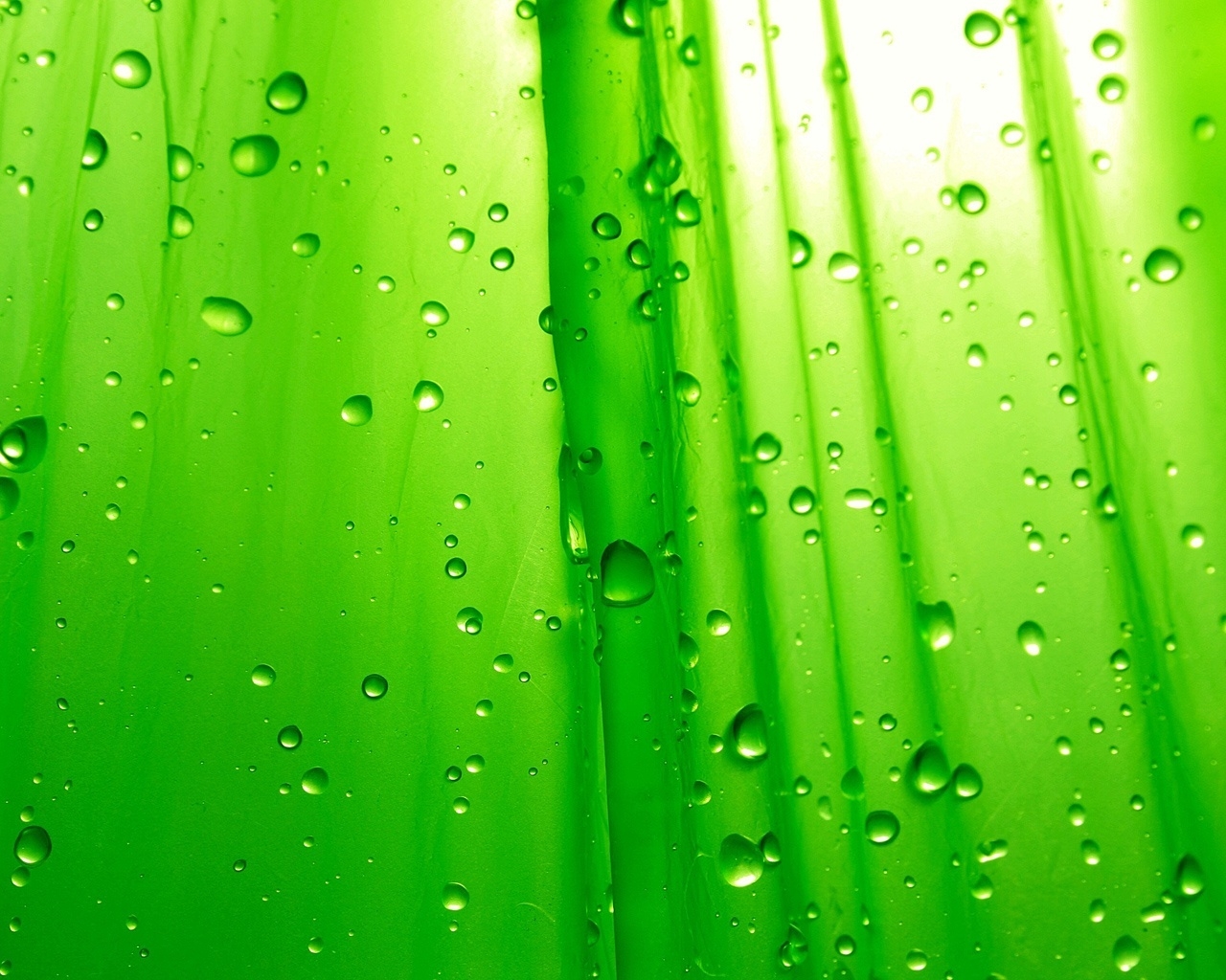 Green Simplicity for 1280 x 1024 resolution