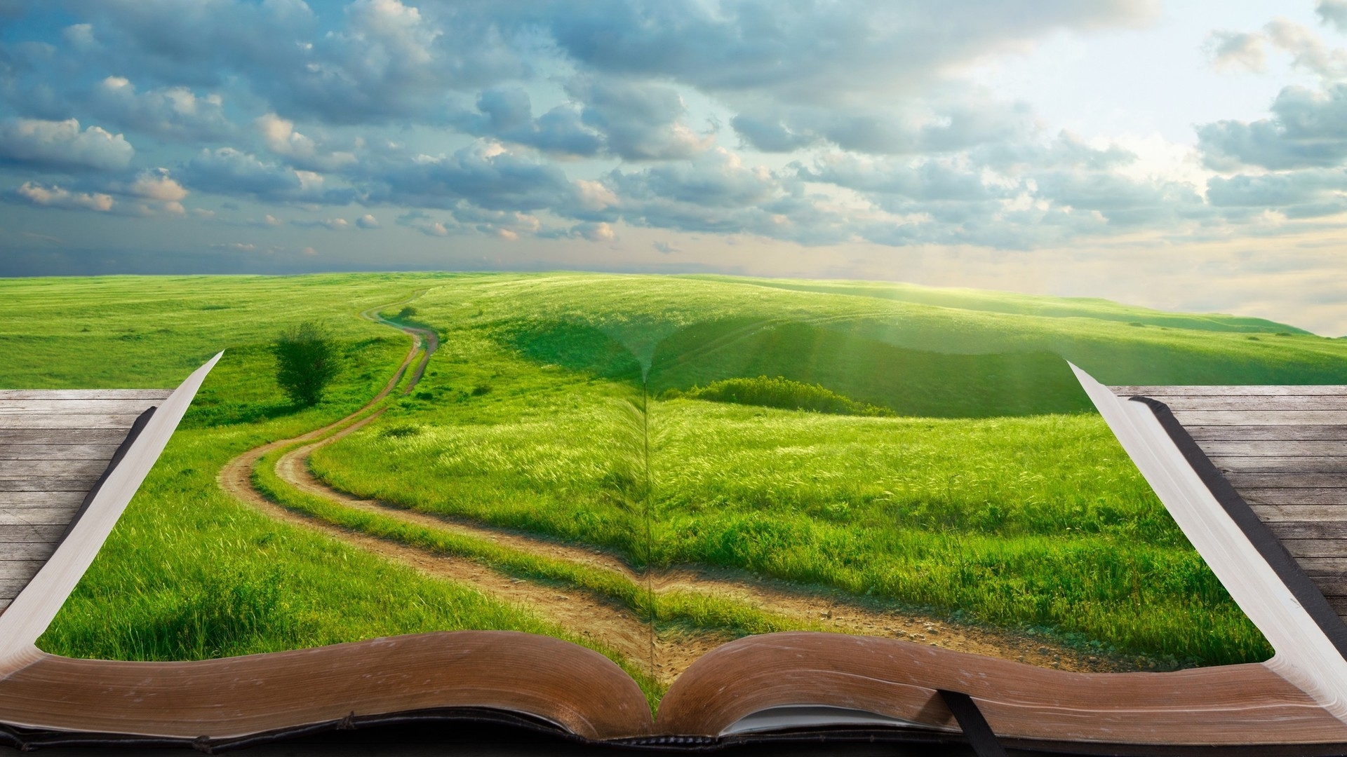 Green World Book for 1920 x 1080 HDTV 1080p resolution