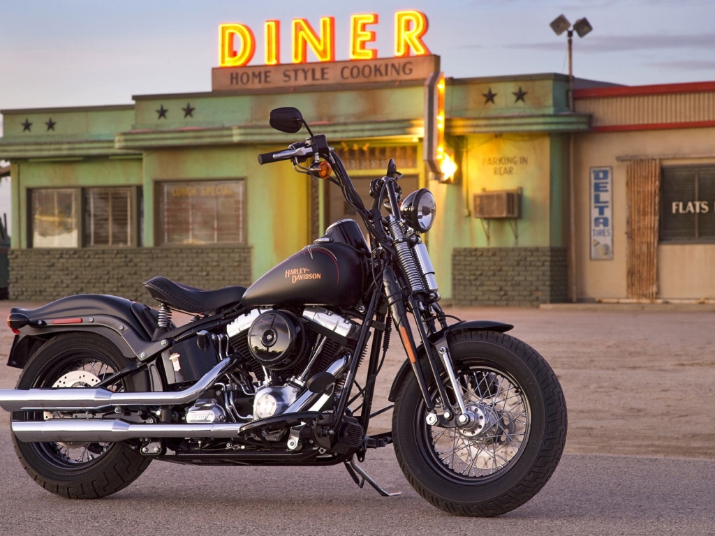 Harley Davidson 1584 for 1024 x 768 resolution