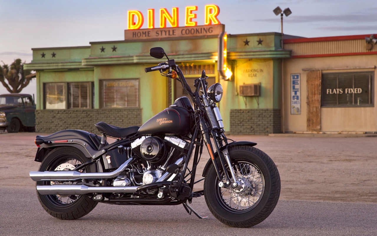 Harley Davidson 1584 for 1280 x 800 widescreen resolution
