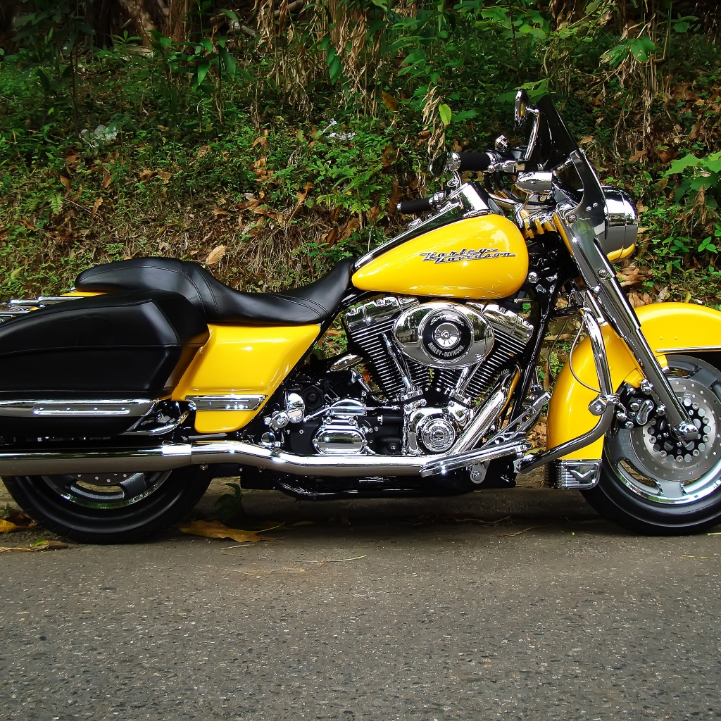 Harley Davidson Road King Yellow for 1024 x 1024 iPad resolution