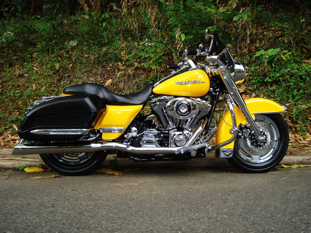 Harley Davidson Road King Yellow for 1024 x 768 resolution