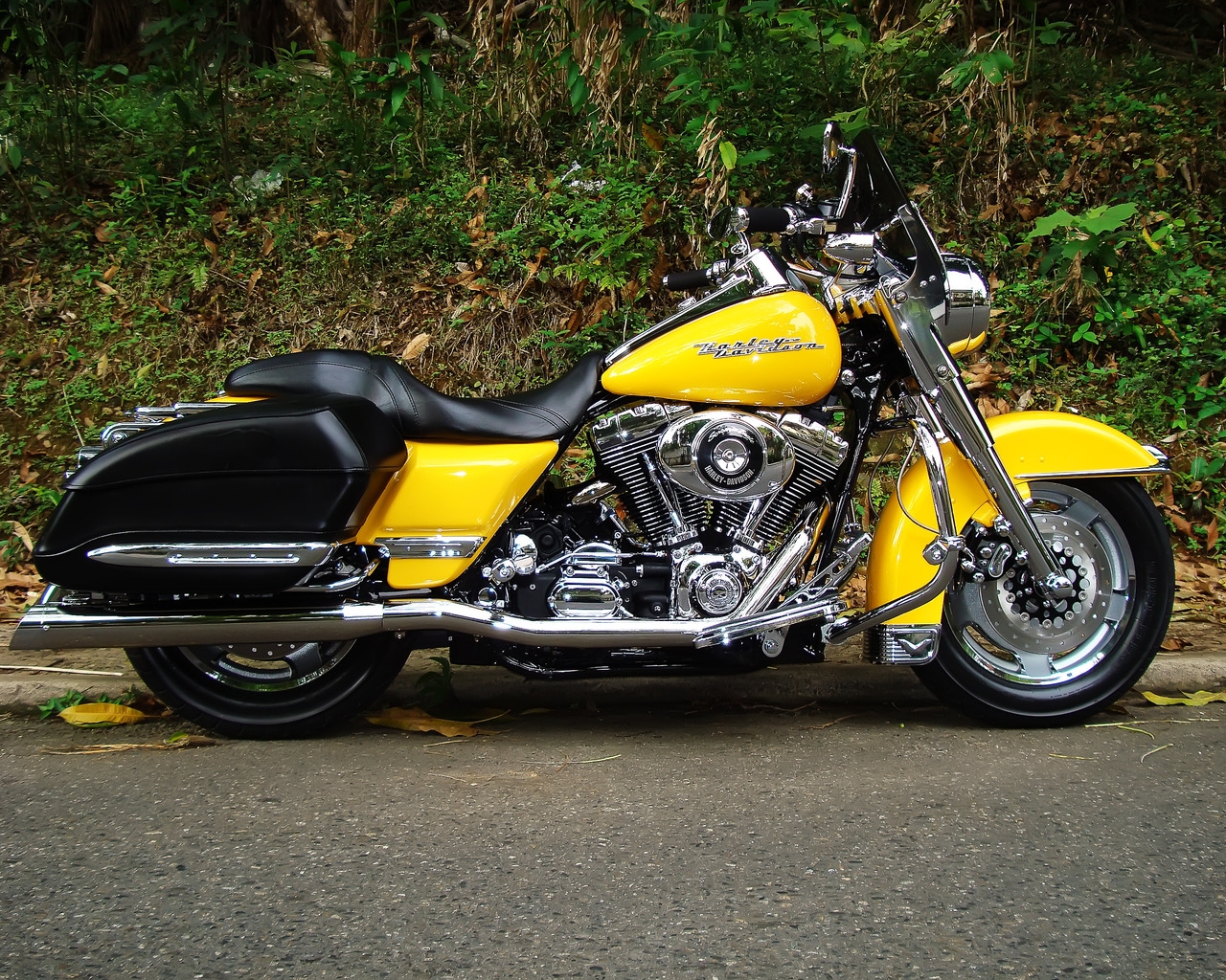 Harley Davidson Road King Yellow for 1280 x 1024 resolution