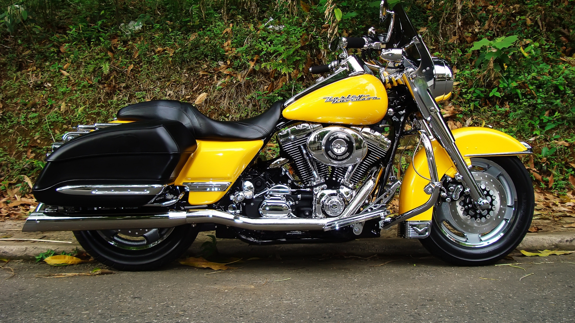 Harley Davidson Road King Yellow for 1920 x 1080 HDTV 1080p resolution
