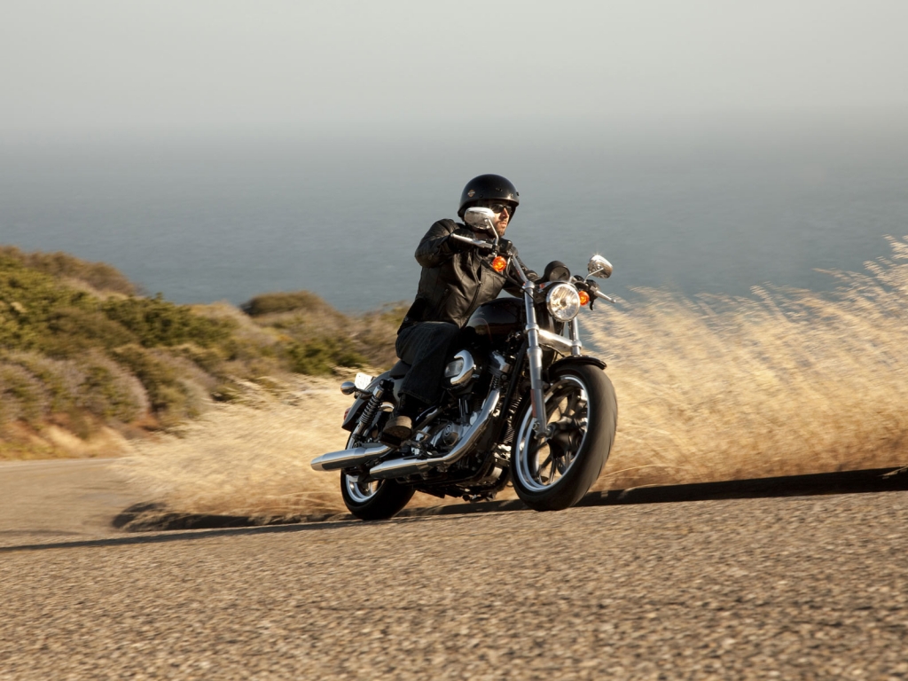 Harley Davidson XL883 SuperLow for 1024 x 768 resolution