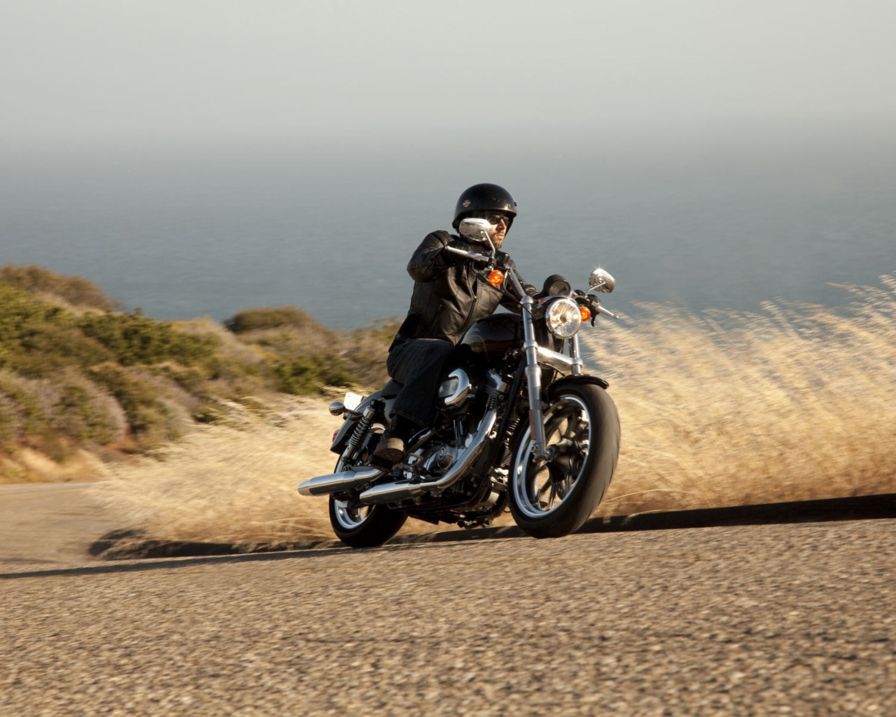 Harley Davidson XL883 SuperLow for 1280 x 1024 resolution