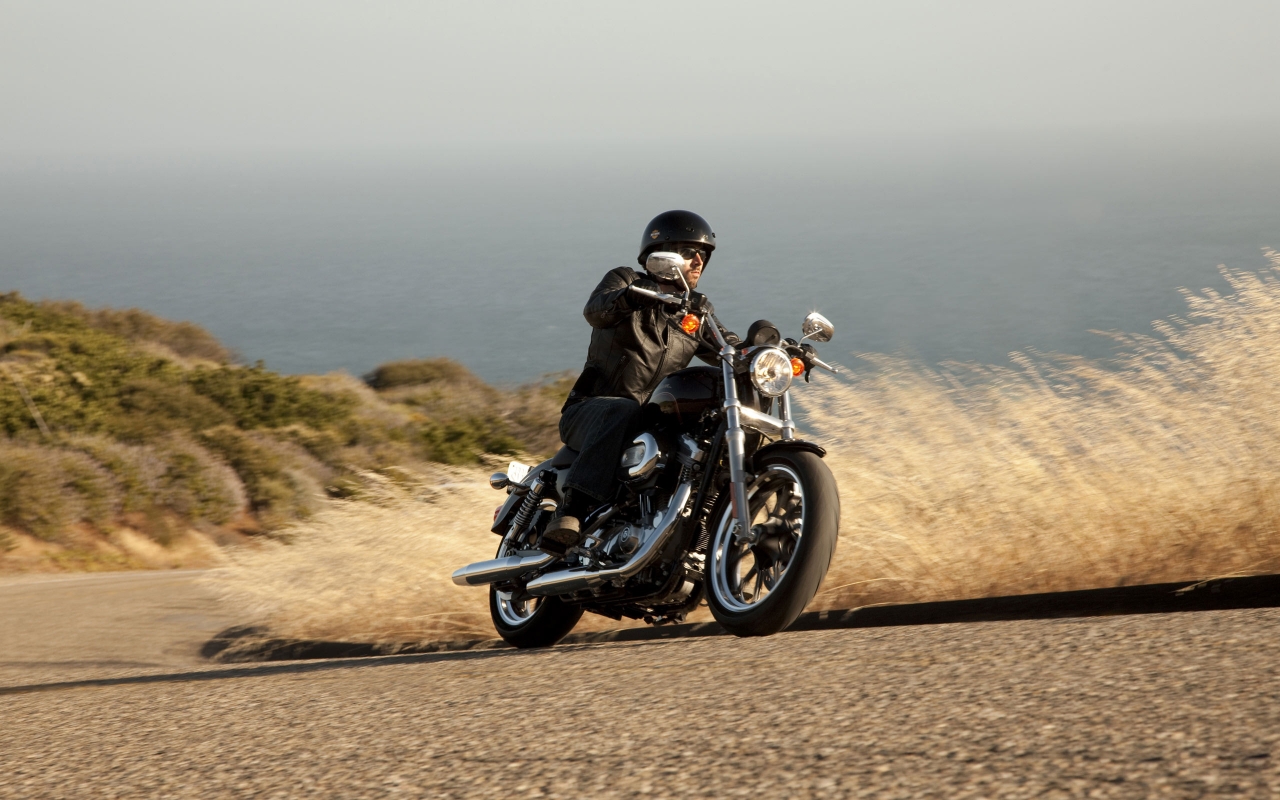 Harley Davidson XL883 SuperLow for 1280 x 800 widescreen resolution