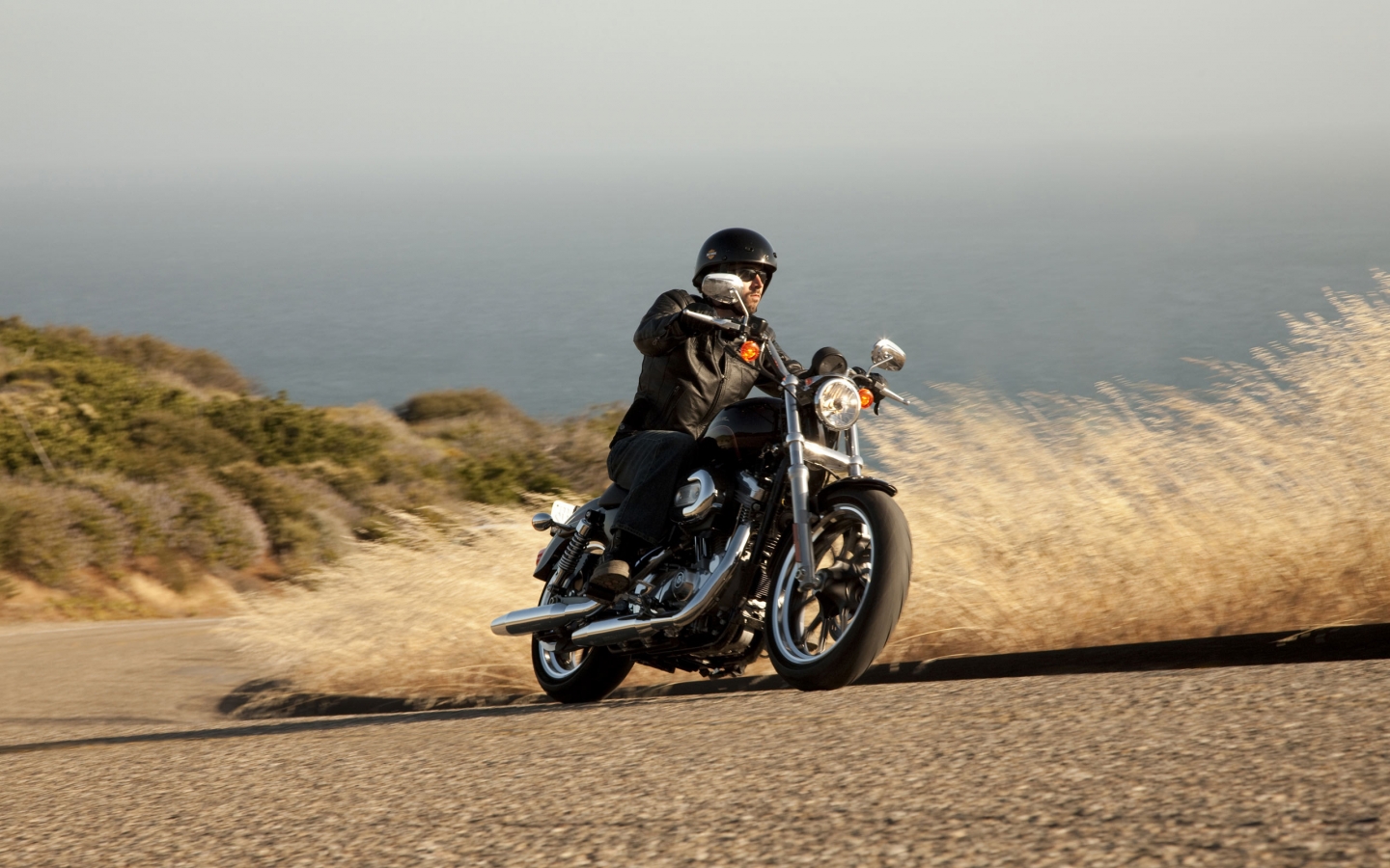 Harley Davidson XL883 SuperLow for 1440 x 900 widescreen resolution