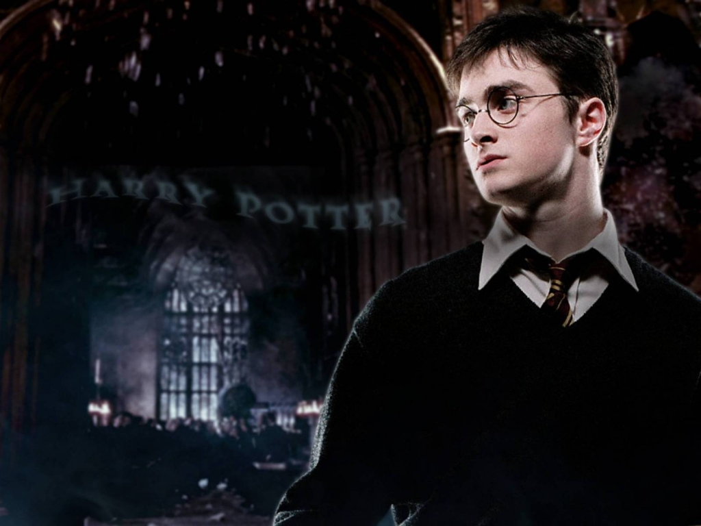 Harry Potter Daniel Radcliffe for 1024 x 768 resolution