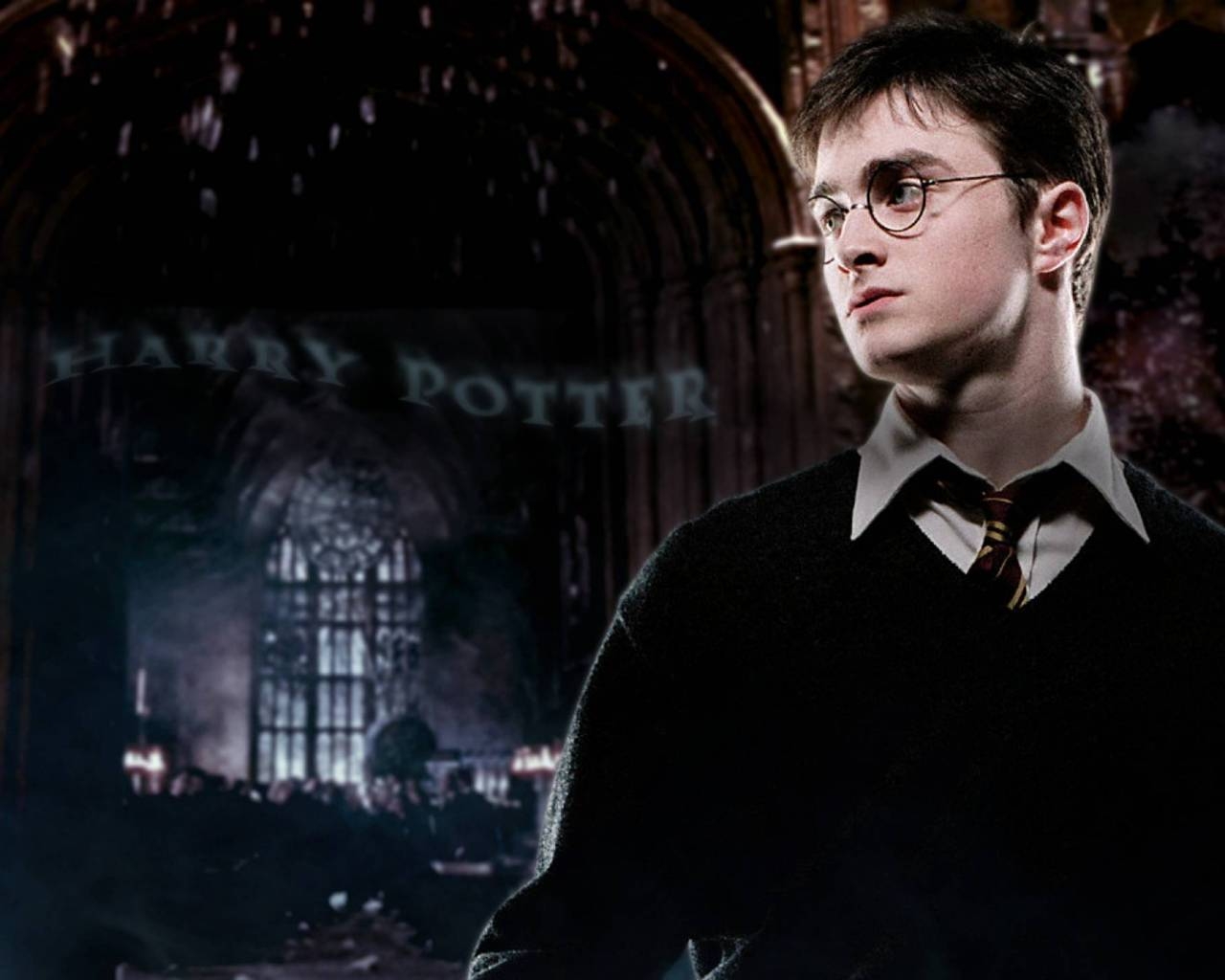Harry Potter Daniel Radcliffe for 1280 x 1024 resolution