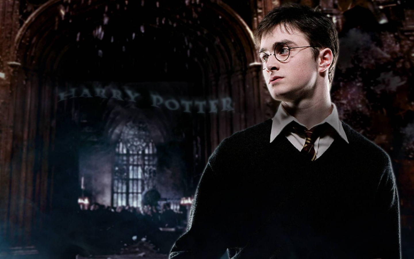 Harry Potter Daniel Radcliffe for 1440 x 900 widescreen resolution