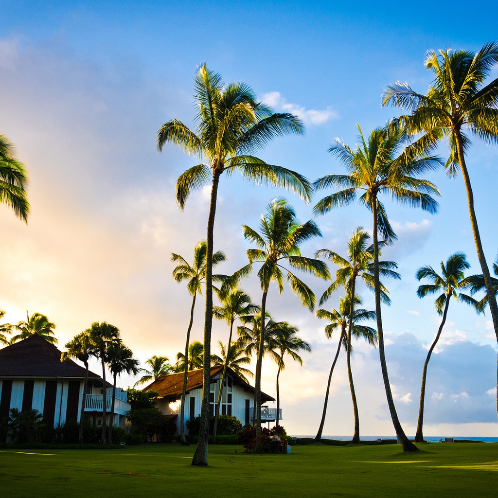 Hawaii Beach Houses for 1024 x 1024 iPad resolution