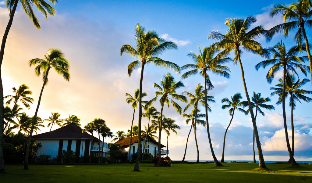 Hawaii Beach Houses for 1024 x 600 widescreen resolution