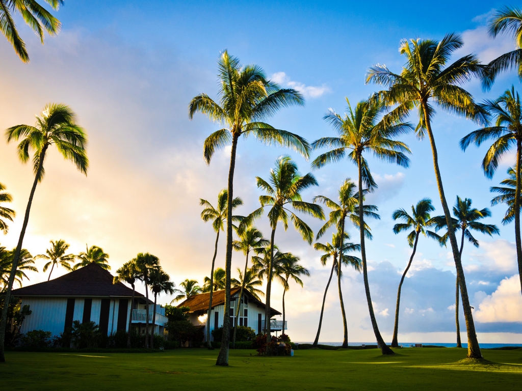 Hawaii Beach Houses for 1024 x 768 resolution