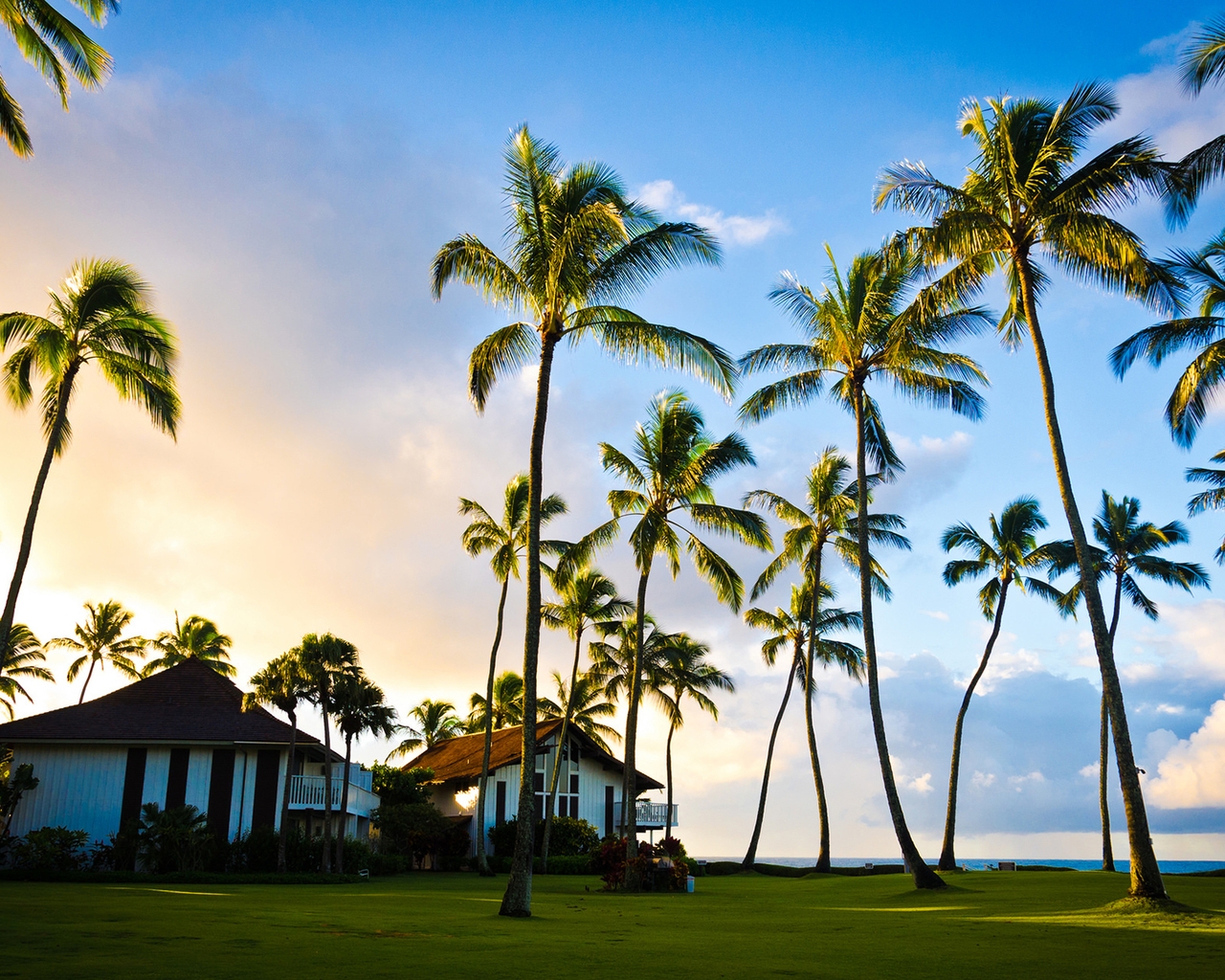 Hawaii Beach Houses for 1280 x 1024 resolution