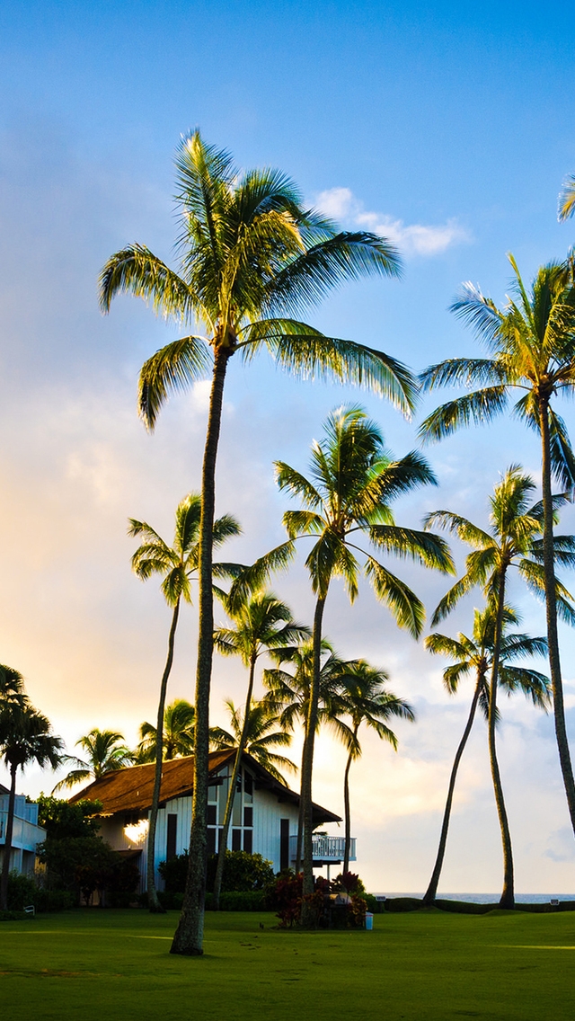 Hawaii Beach Houses for 640 x 1136 iPhone 5 resolution