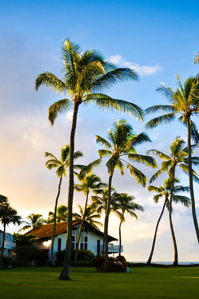 Hawaii Beach Houses for 640 x 960 iPhone 4 resolution