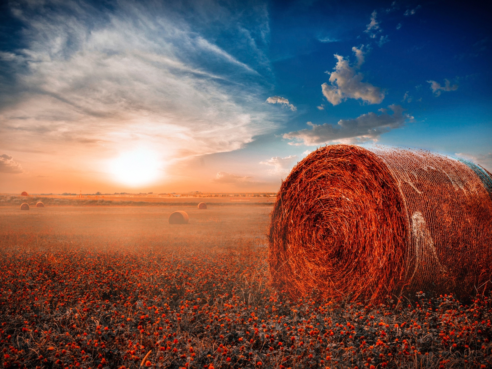 Hay Rolls Field for 1600 x 1200 resolution