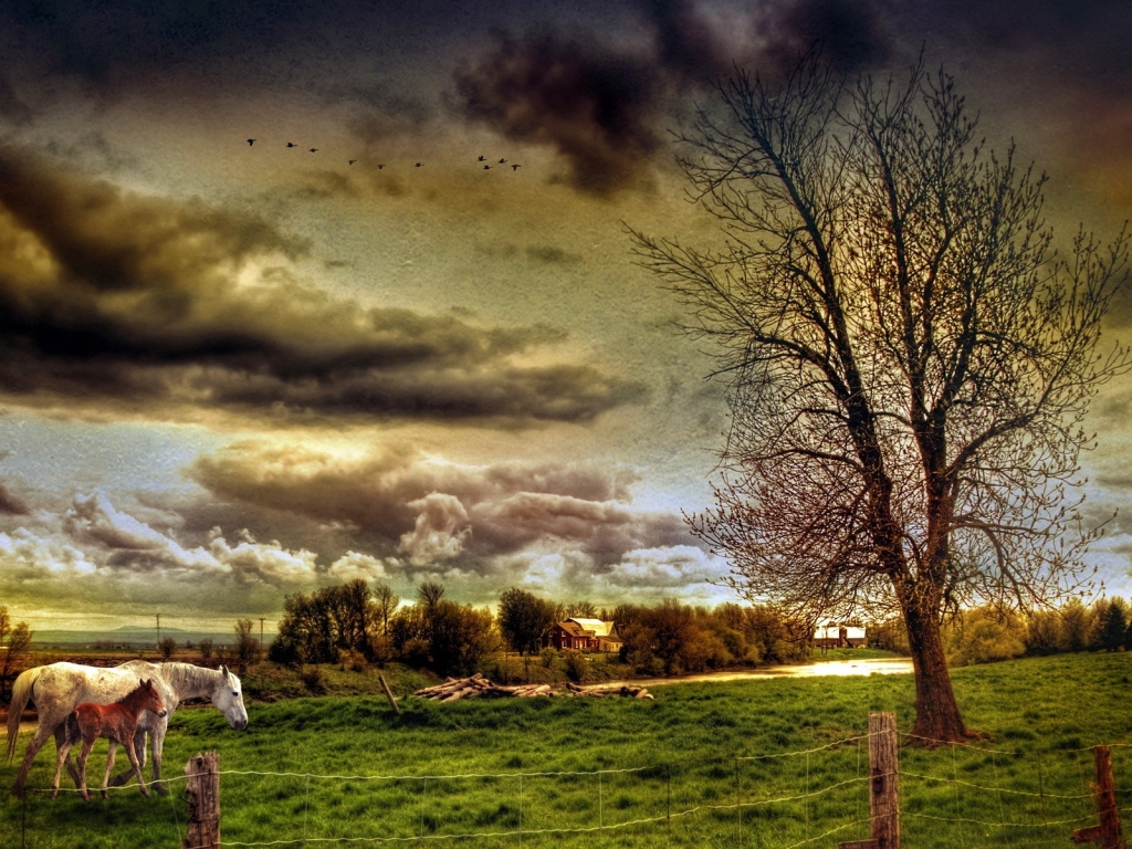 HDR Countryside Landscape for 1024 x 768 resolution