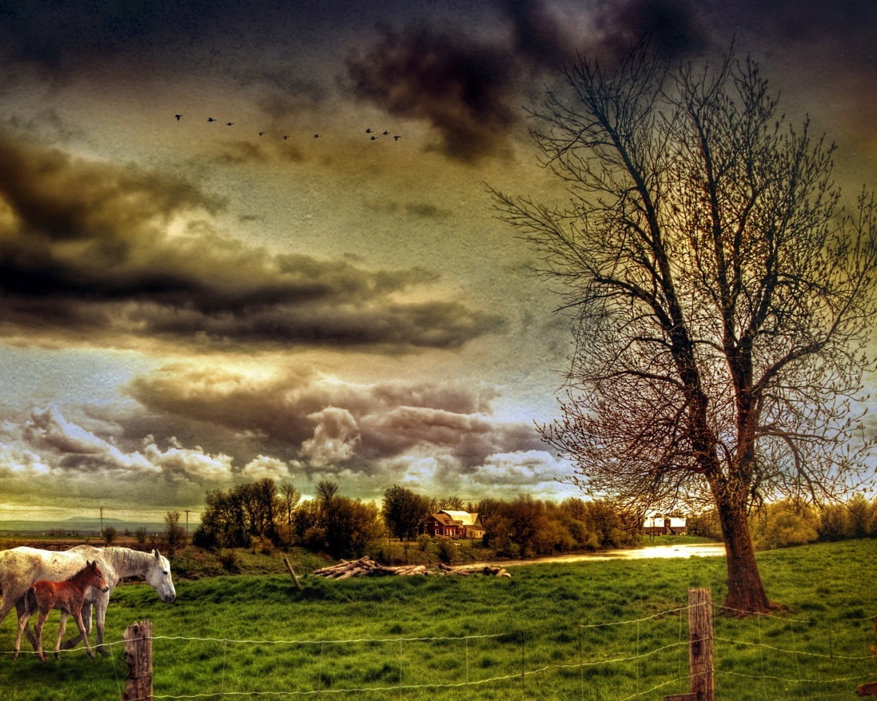 HDR Countryside Landscape for 1280 x 1024 resolution