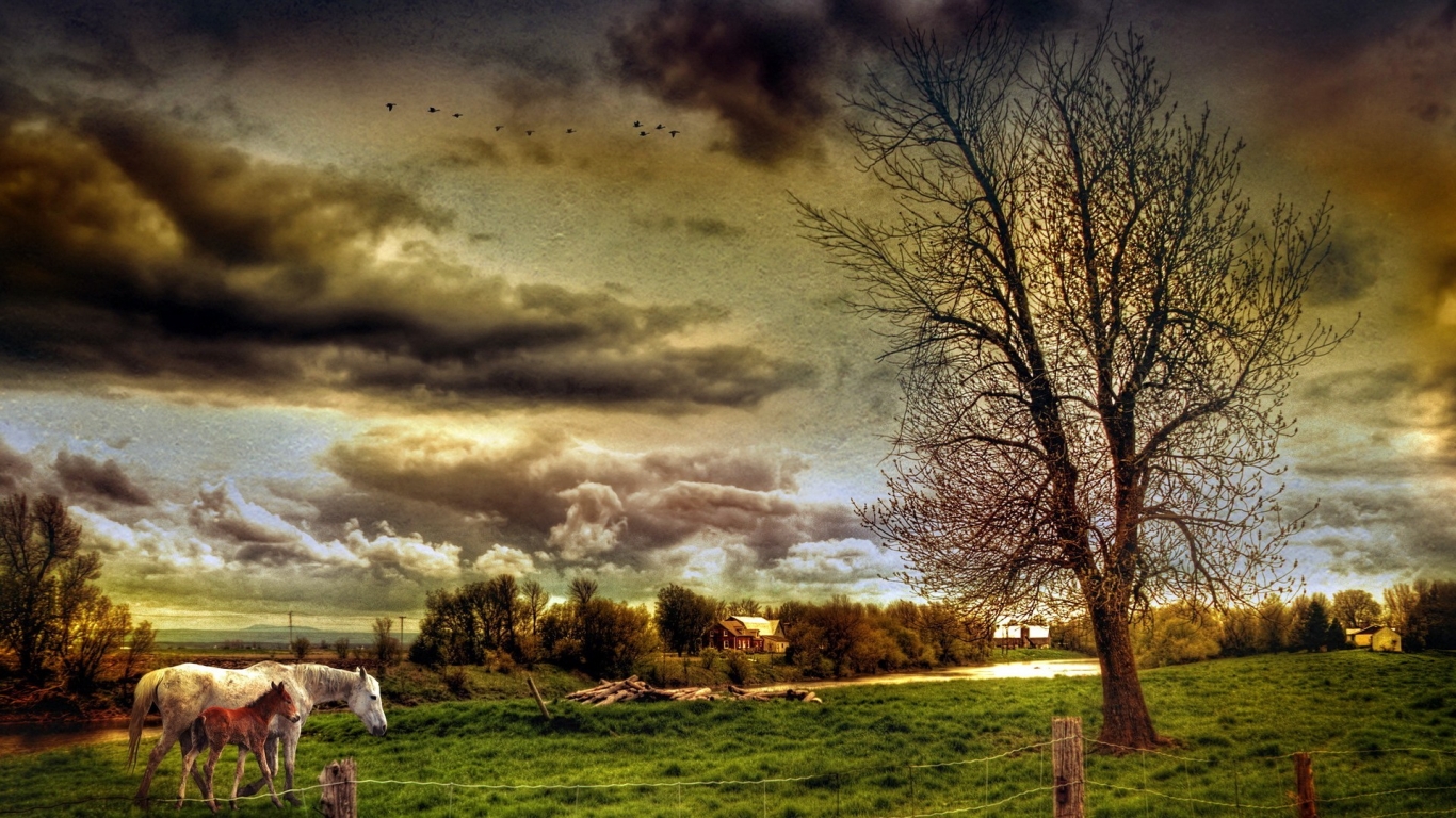 HDR Countryside Landscape for 1366 x 768 HDTV resolution