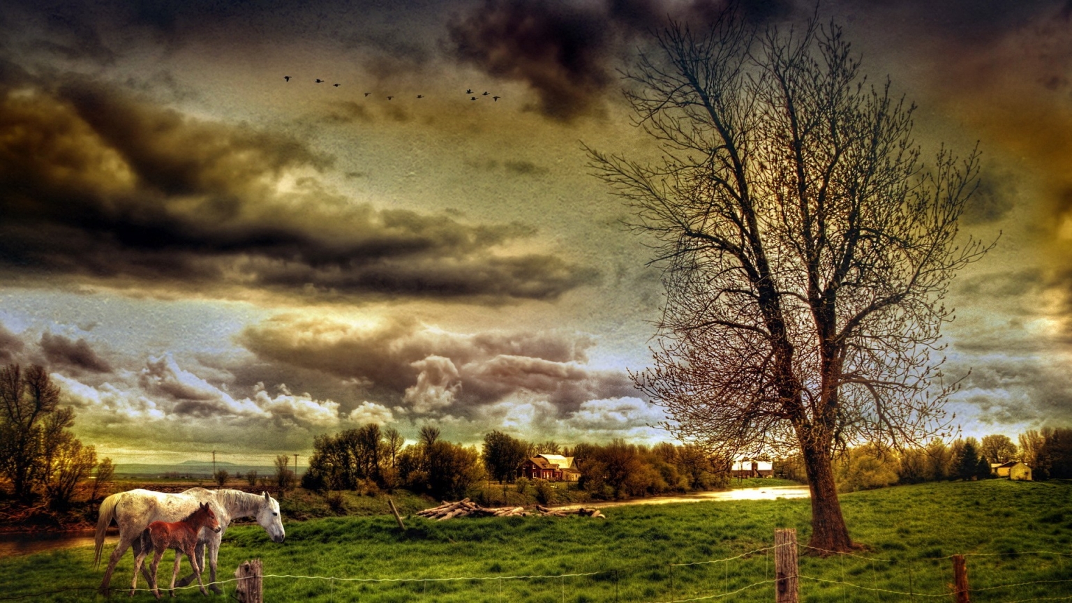 HDR Countryside Landscape for 1536 x 864 HDTV resolution