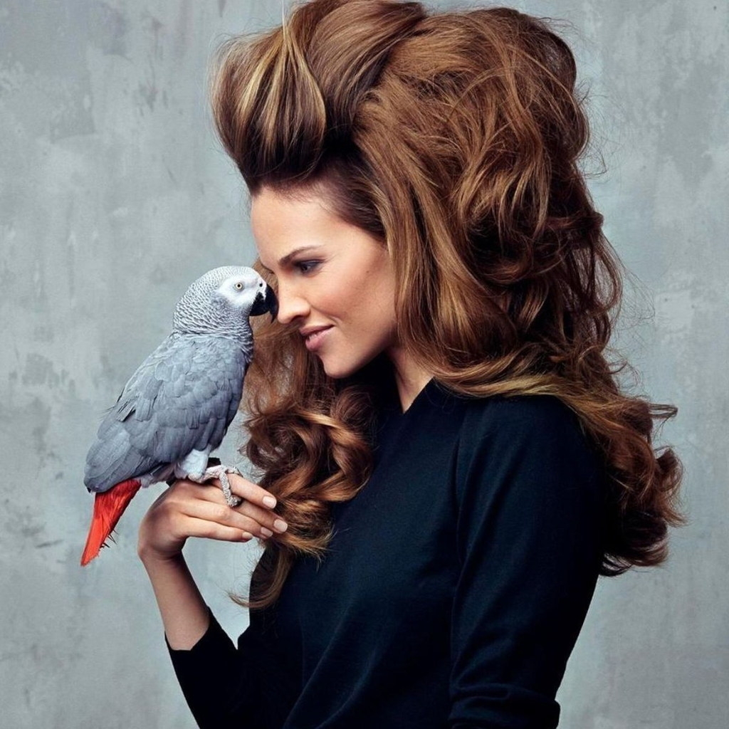 Hilary Swank Parrot for 1024 x 1024 iPad resolution