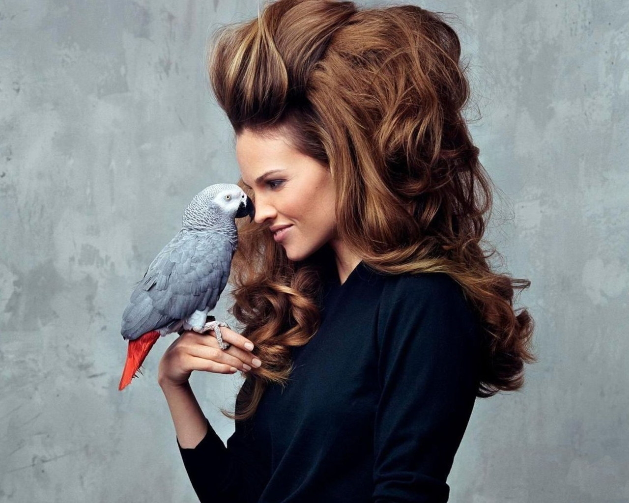 Hilary Swank Parrot for 1280 x 1024 resolution