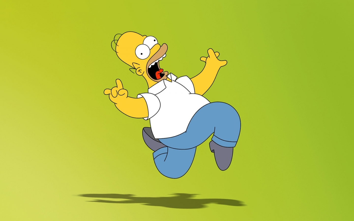 Homer Simpson for 1440 x 900 widescreen resolution