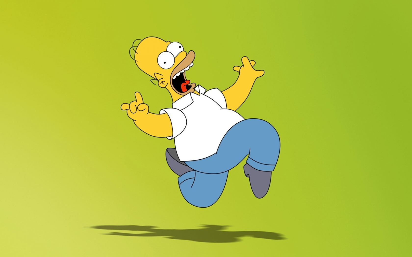 Homer Simpson for 1680 x 1050 widescreen resolution