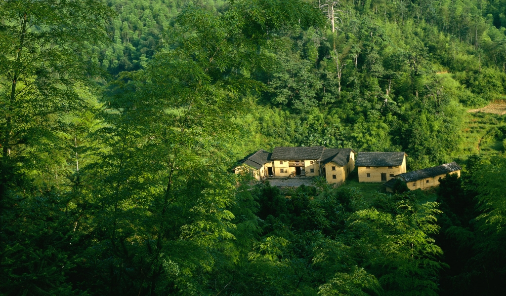 Houses in Forest for 1024 x 600 widescreen resolution