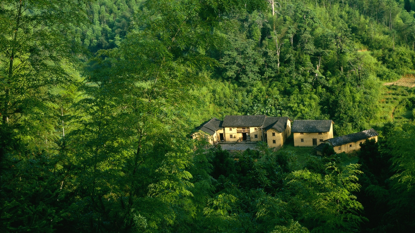 Houses in Forest for 1366 x 768 HDTV resolution