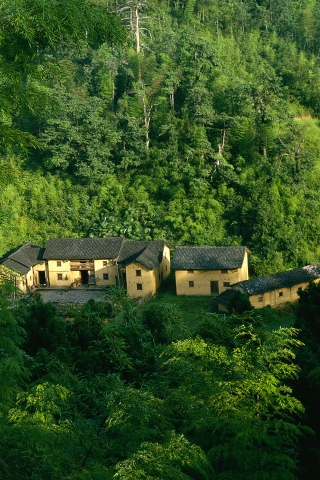Houses in Forest for 320 x 480 iPhone resolution