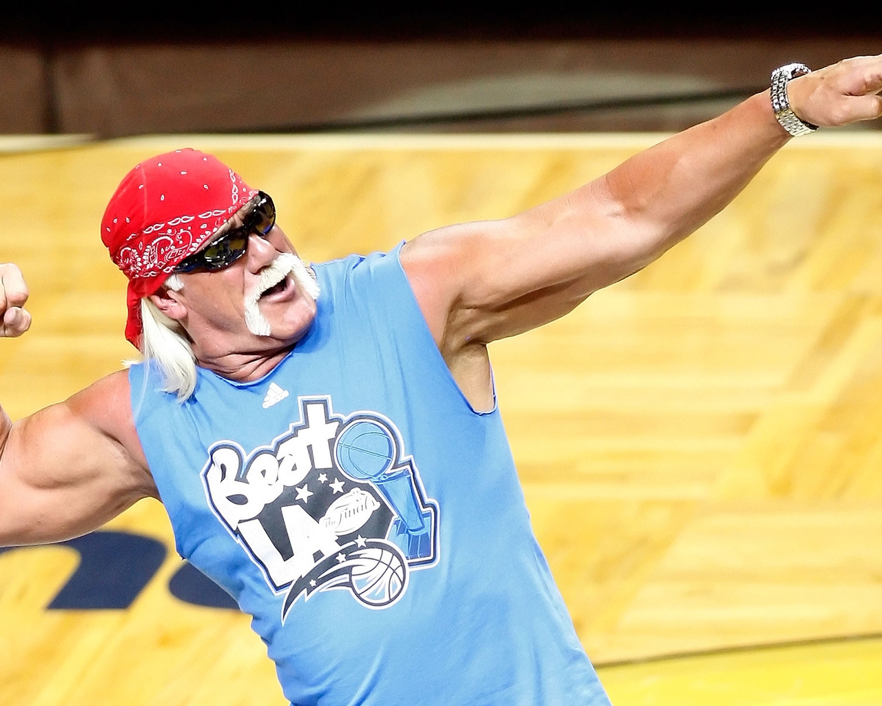 Hulk Hogan for 1280 x 1024 resolution