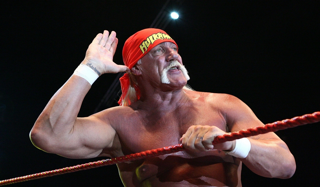 Hulk Hogan Salute for 1024 x 600 widescreen resolution