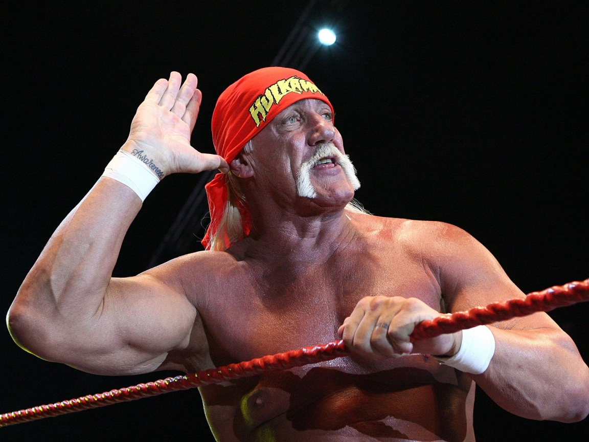 Hulk Hogan Salute for 1152 x 864 resolution