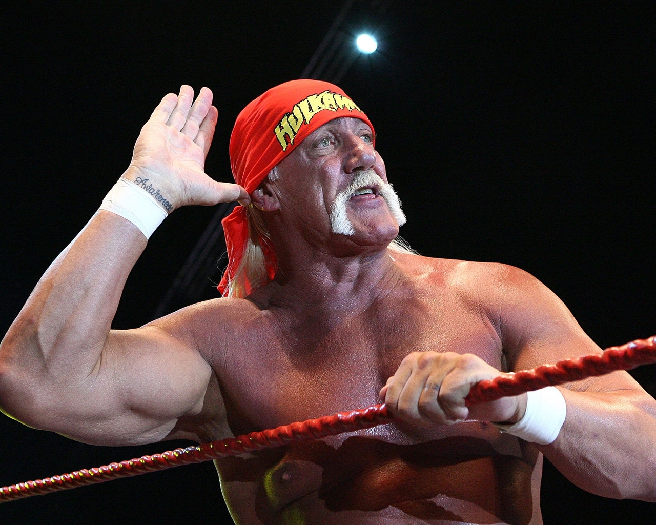 Hulk Hogan Salute for 1280 x 1024 resolution