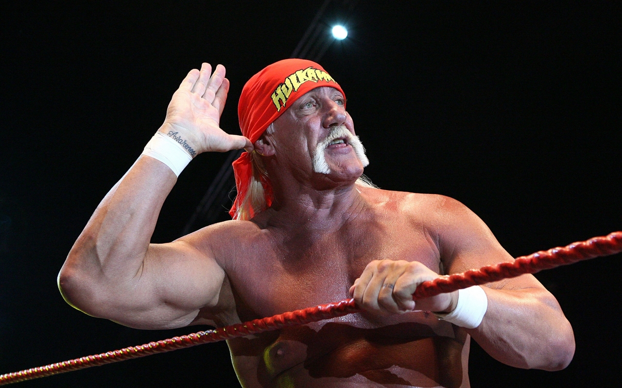 Hulk Hogan Salute for 1280 x 800 widescreen resolution