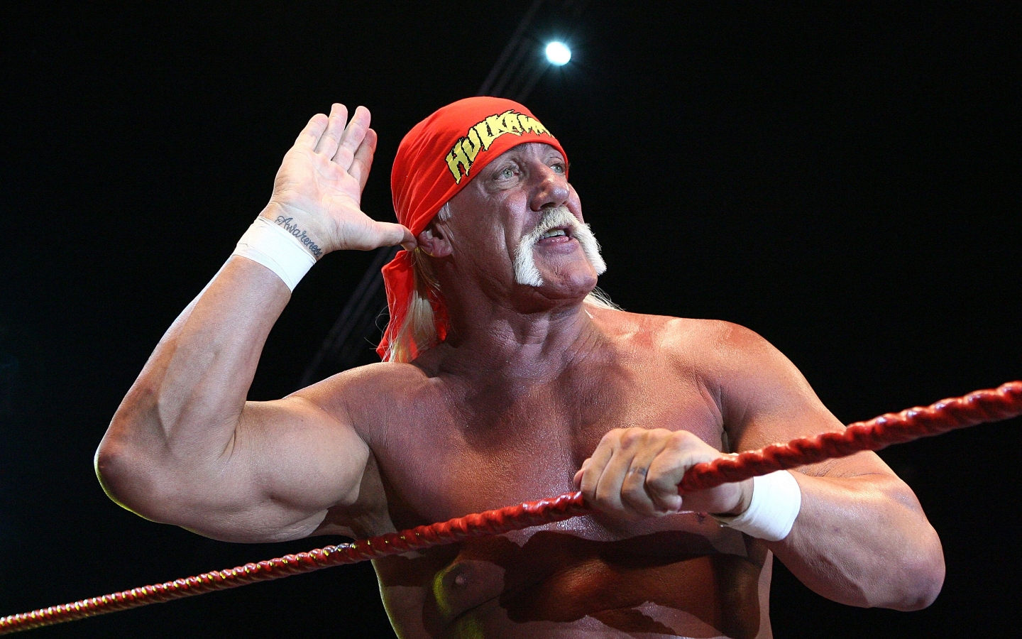 Hulk Hogan Salute for 1440 x 900 widescreen resolution