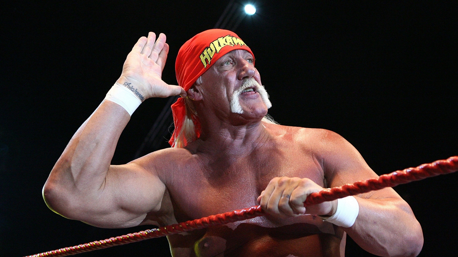 Hulk Hogan Salute for 1536 x 864 HDTV resolution